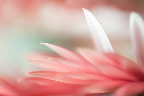 Poster Stand Out  In The Crowd