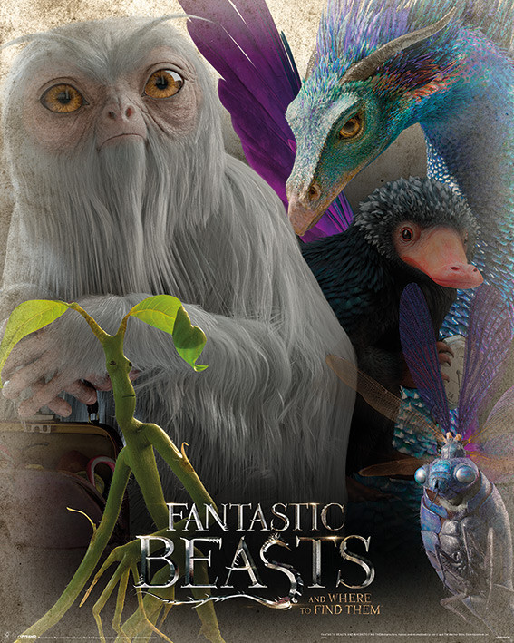 Les Animaux fantastiques  Fantastic Beasts Poster, Affiche  Acheter