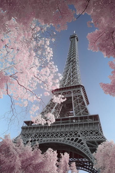 Paris - Eiffel Tower, David Clapp Affiche