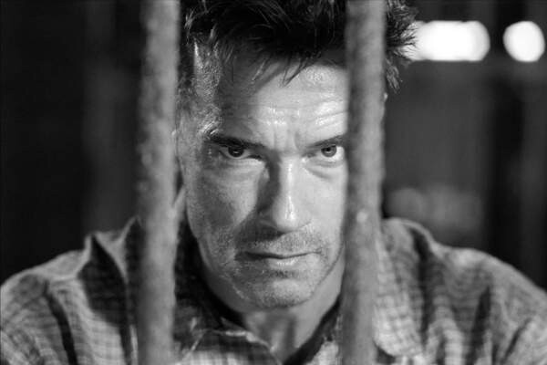 Samolepka Arnold Schwarzenegger, Collateral Damage 2001 Directed By Andrew Davis