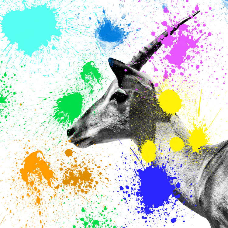 Arte fotográfico Antelope IV