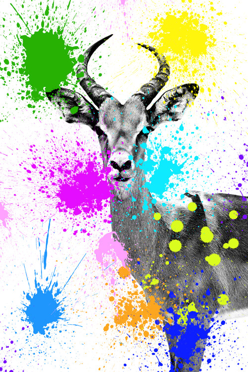 Arte fotográfico Antelope Reedbuck