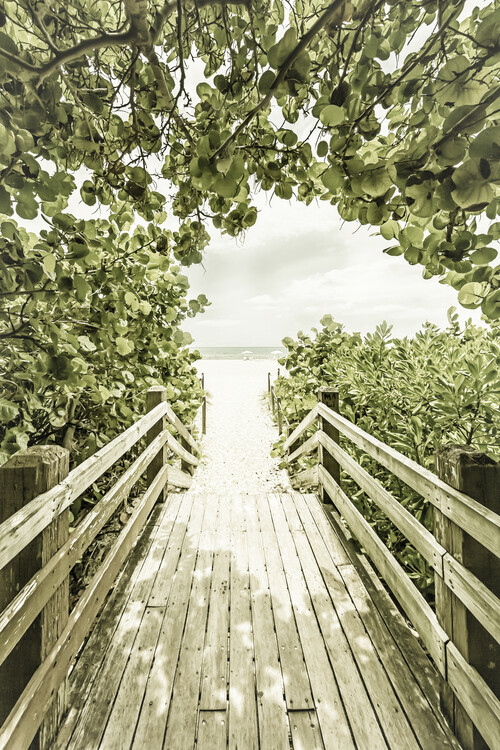 Arte fotográfico Bridge to the beach with mangroves | Vintage