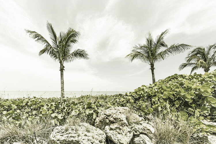 Arte fotográfico Captiva Island | Vintage