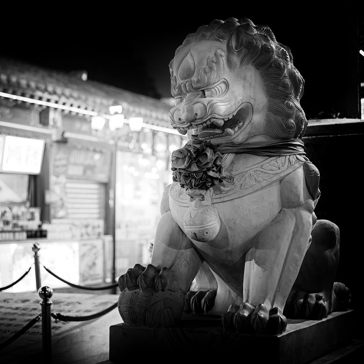 Arte fotográfico China 10MKm2 Collection - Lion Stands Guard