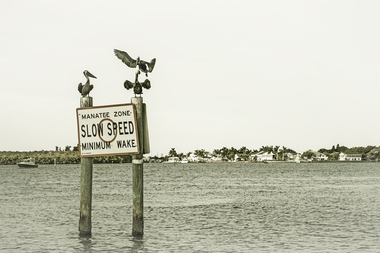 Arte fotográfico Coastal View from Fort Myers Beach | Vintage