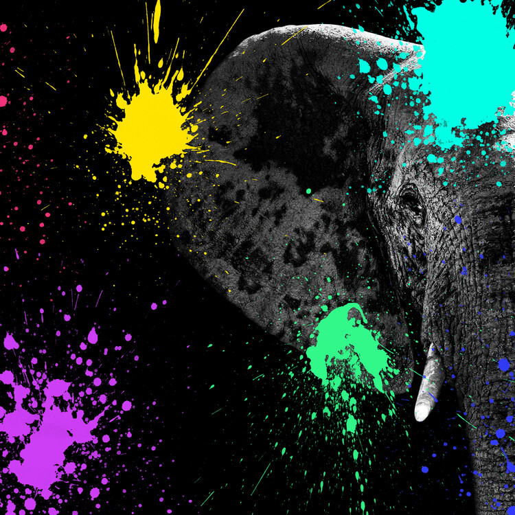 Arte fotográfico Elephant Portrait