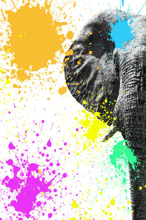 Arte fotográfico Elephant Portrait II