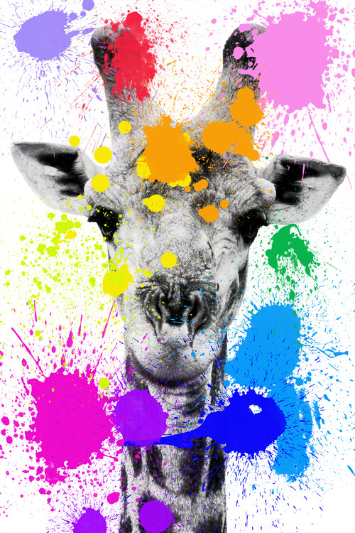Photographie d'art Giraffe