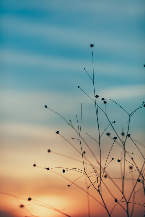 Photographie d'art Golden hour