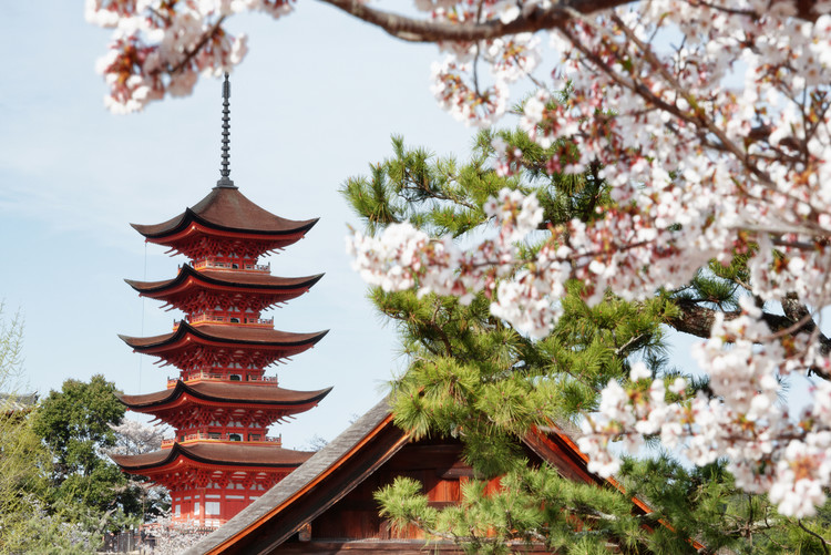 Arte fotográfico Miyajima Pagoda with Sakura