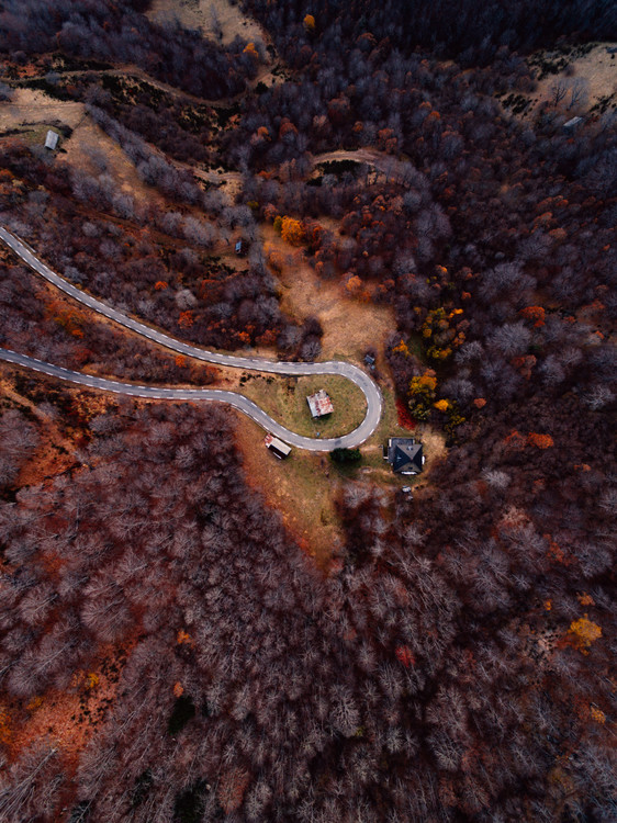 Arte fotográfico Mountain road between autumn trees