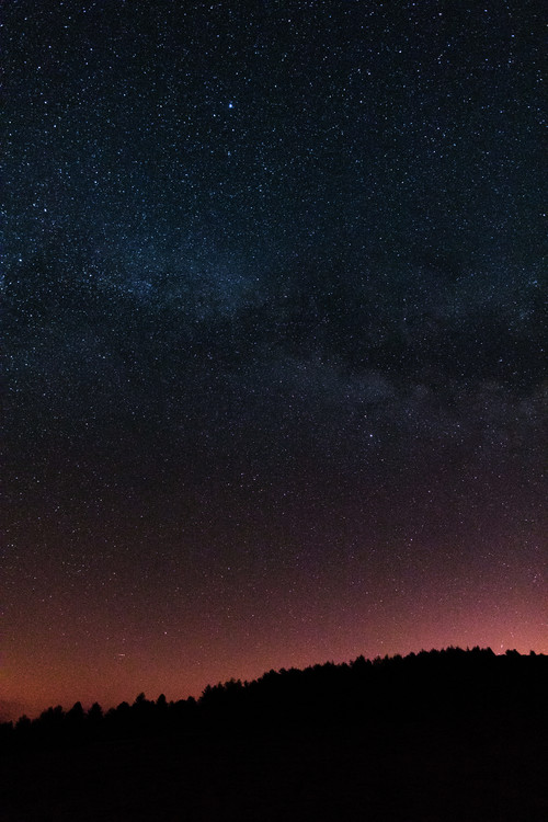Photographie d'art Night photos of the Milky Way with stars and trees.