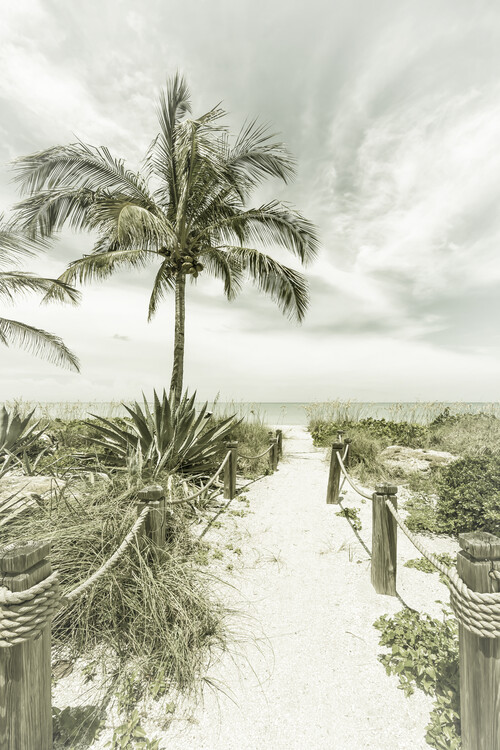 Arte fotográfico Path to the beach | Vintage