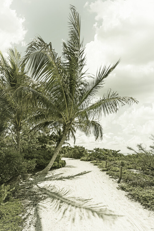 Arte fotográfico Sanibel Island | Vintage