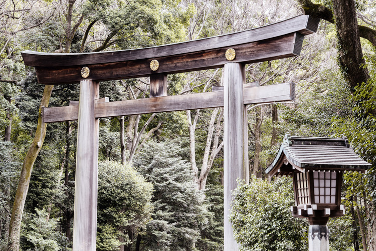 Arte fotográfico Wooden Torii