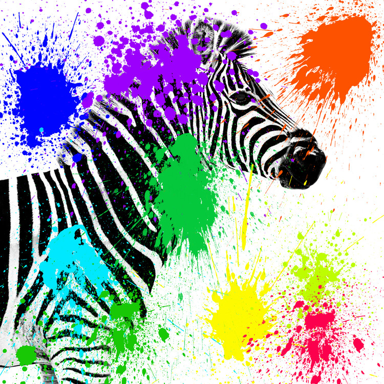 Arte fotográfico Zebra Profile