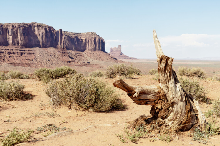 Umelecká fotografie American West - Monument Valley