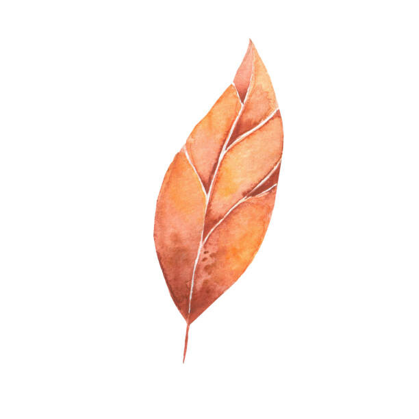 Kunstfotografie autumn leaves a watercolor on a