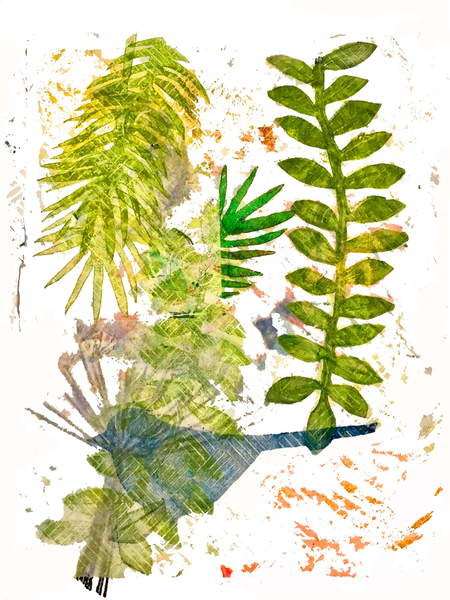 Obraz na plátně Botanical jungle