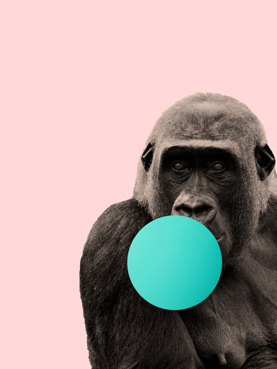 Arte fotográfico Bubblegum gorilla