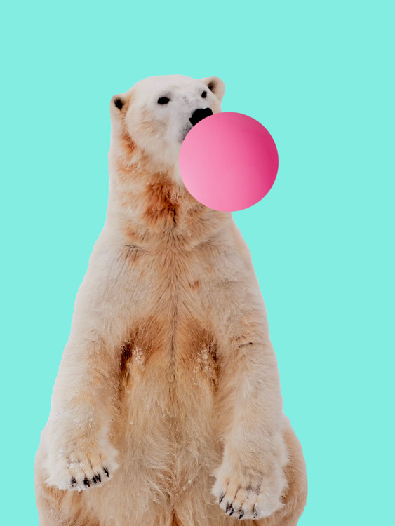 Photographie d'art Bubblegum polarbear