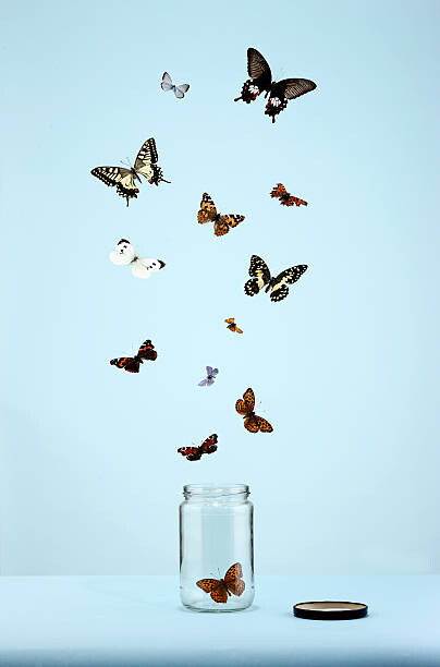Fotografía artística butterflies escaping from jar
