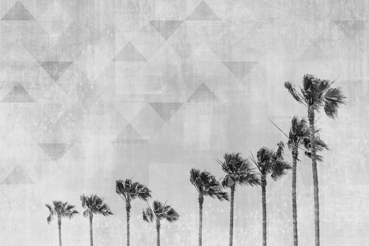 Photographie d'art California Vibes In Black & White