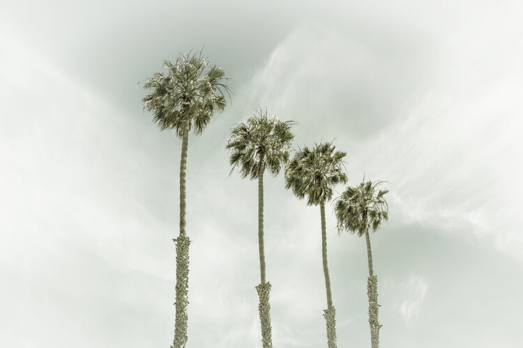 Arte fotográfico California Vintage Palm Trees