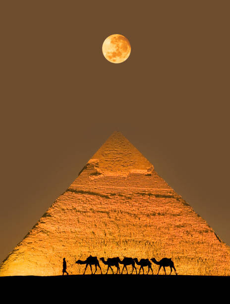 Fotografia artistica Camel train and pyramid