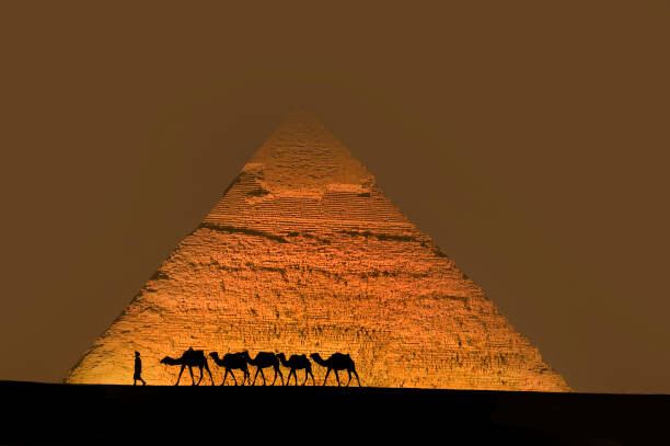 Umetniška fotografija Camel train near pyramids.