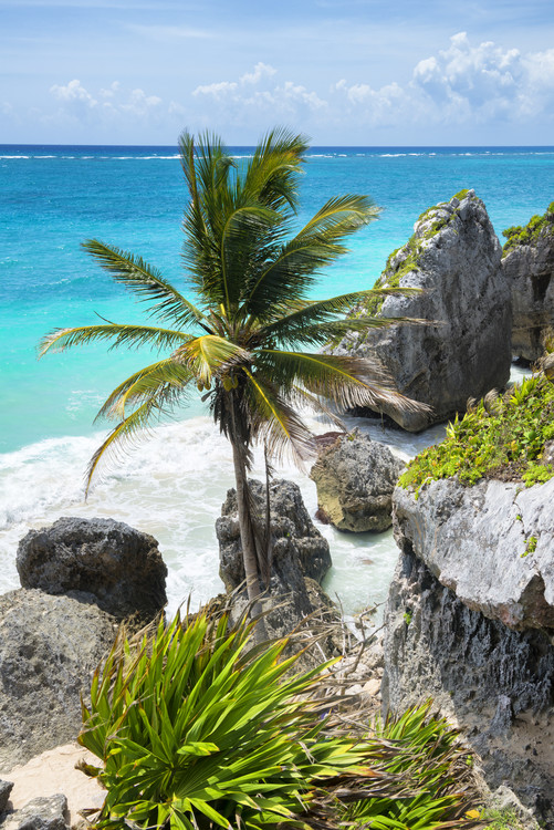 Arte fotográfico Caribbean Coastline