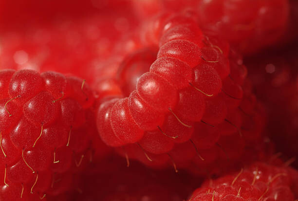 Umjetnička fotografija Close up of red raspberries (Rubus idaeus)