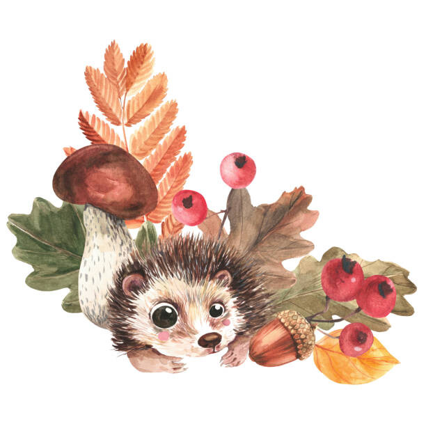Fotografia artystyczna Corner composition of hedgehog, mushrooms, falling