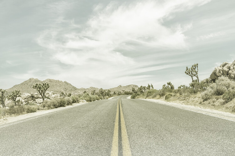 Arte fotográfico Country Road with Joshua Trees