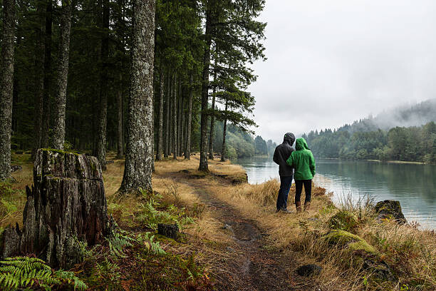 Kunstfotografie Couple looks out over a misty lake in a forest.