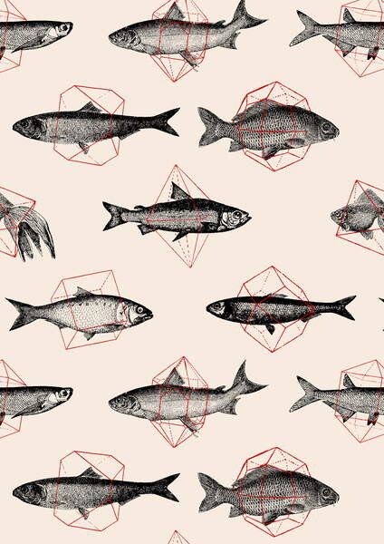 Obrazová reprodukce Fishes in Geometrics
