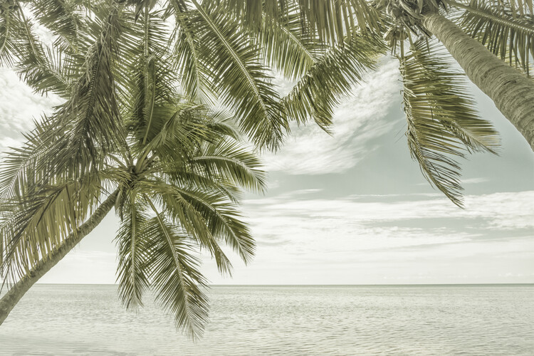 Arte fotográfico FLORIDA Vintage Oceanview