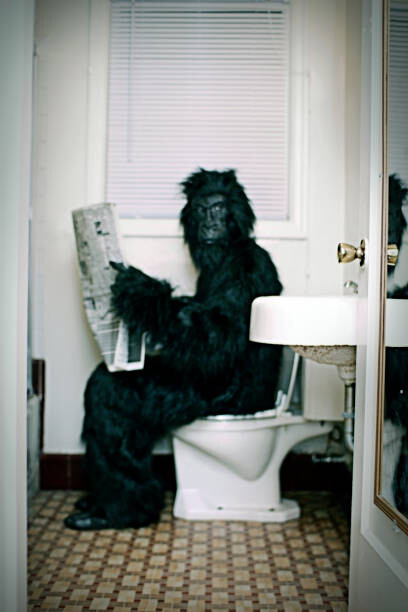 Umělecká fotografie Gorilla Uses a Vintage Bathroom While