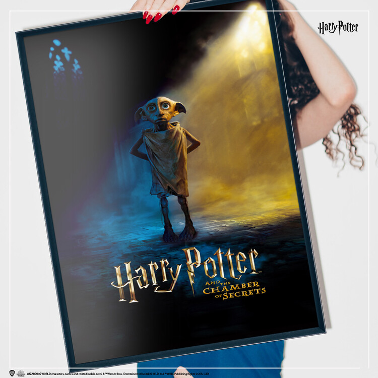 Umělecký tisk Harry Potter - Dobby