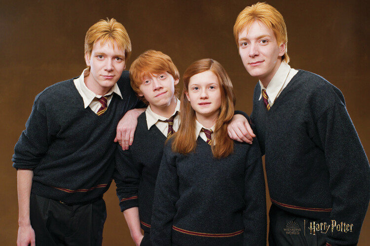 Poster, affiche Harry Potter Weasley family Cadeaux et merch