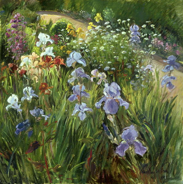 Obraz na plátně Irises and Oxeye Daisies, 1997