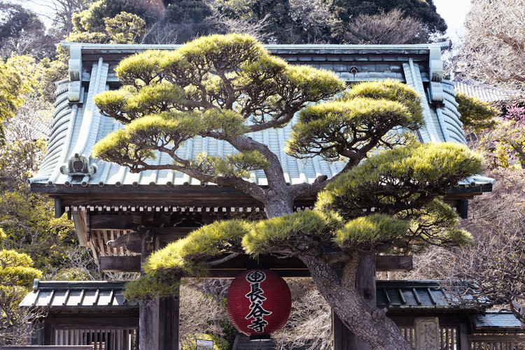 Arte fotográfico Japonese Temple
