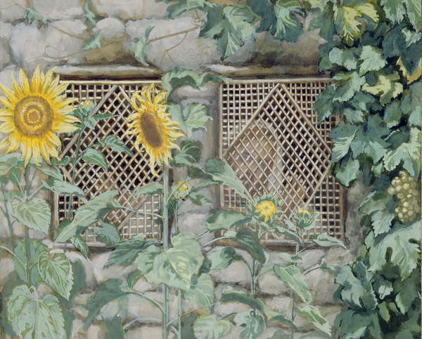 Fototapeta Jesus Looking through a Lattice with Sunflowers