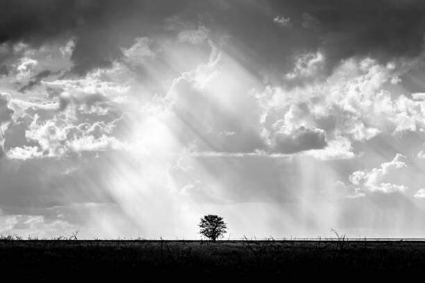 Umelecká fotografie Lone tree with heaven ray of