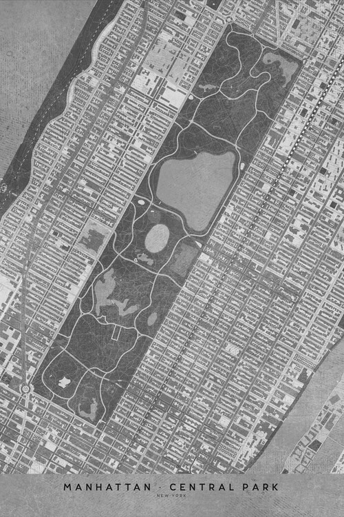 Carte de Map of Manhattan Central Park in gray vintage style ǀ Toutes