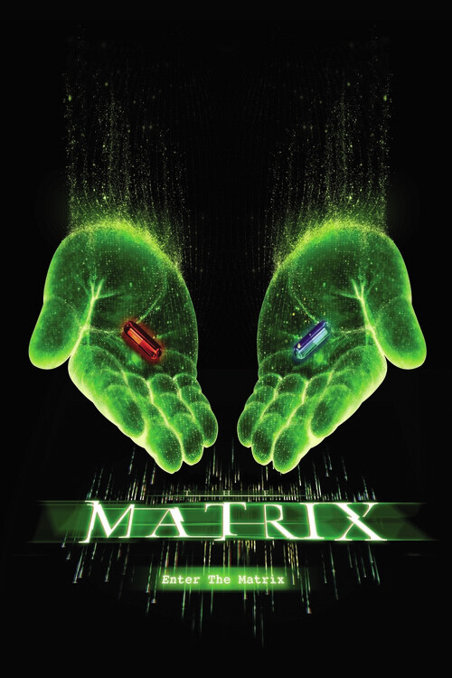 Poster Plakat Matrix Choose Your Path Gaver Merch Europosters