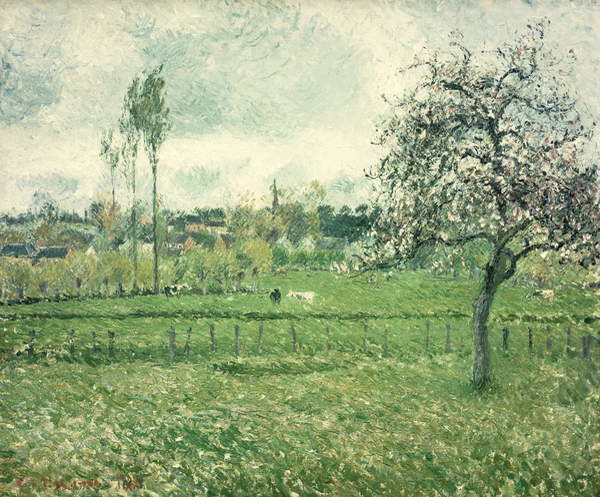 Obraz na plátně Meadow at Eragny, 1885