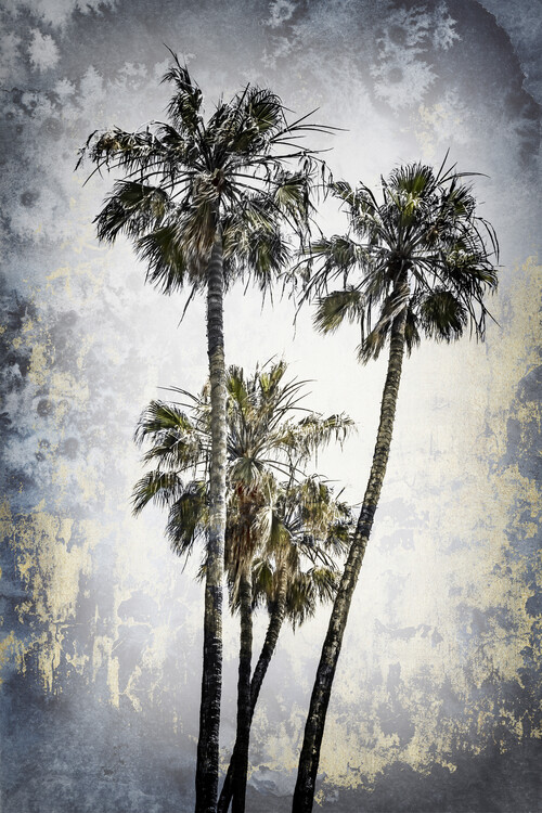 Photographie d'art MODERN ART Lovely Palm Trees