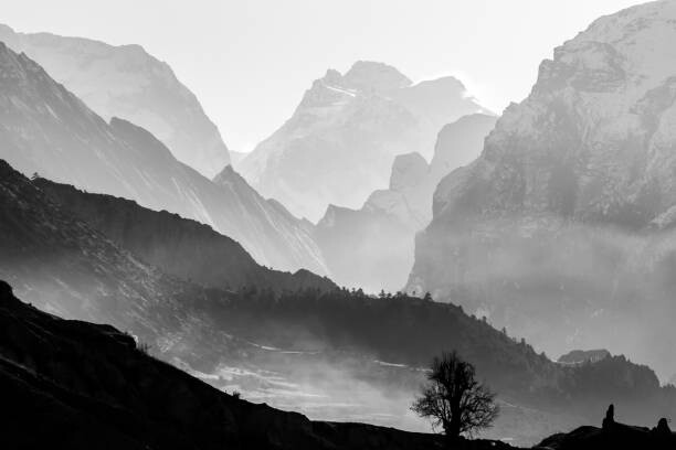 Kunstfotografie Morning in foggy mountains. Black and